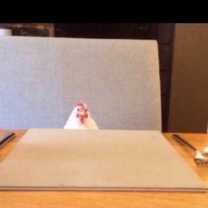 Meet your Posher, Leila